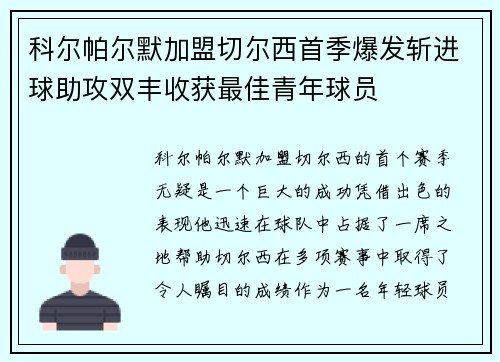 科尔帕尔默加盟切尔西首季爆发斩进球助攻双丰收获最佳青年球员